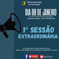 1ª SESSÃO PLENÁRIA EXTRAORDINÁRIA DE 2025