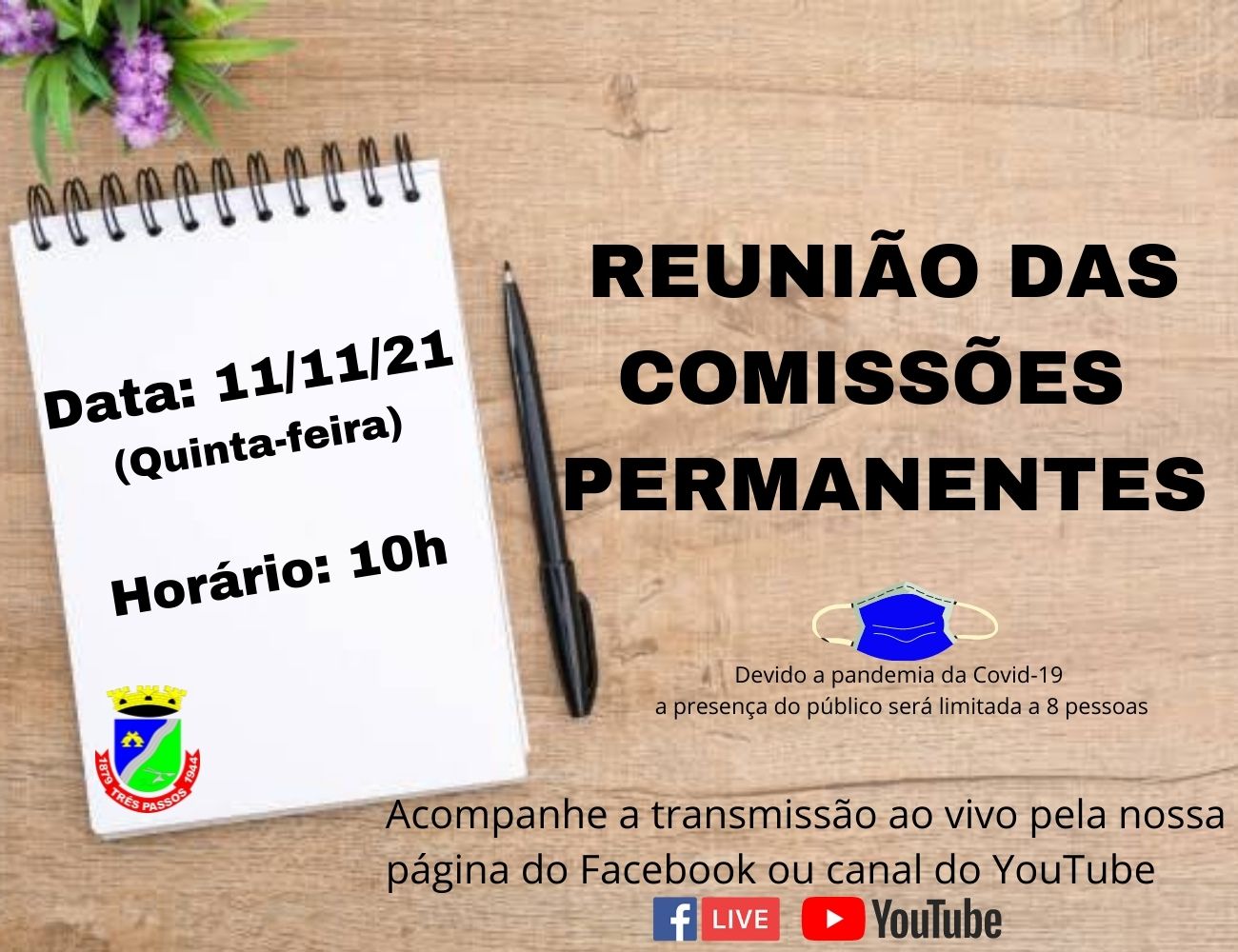 ACOMPANHE AMANHÃ, 11 DE NOVEMBRO, ÀS 10 HORAS, A REUNIÃO DAS COMISSÕES PERMANENTES 