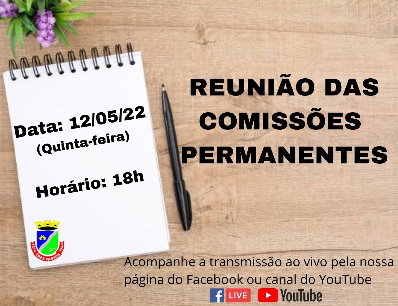 ACOMPANHE HOJE, 12 DE MAIO, ÀS 18H, A REUNIÃO DAS COMISSÕES PERMANENTES 