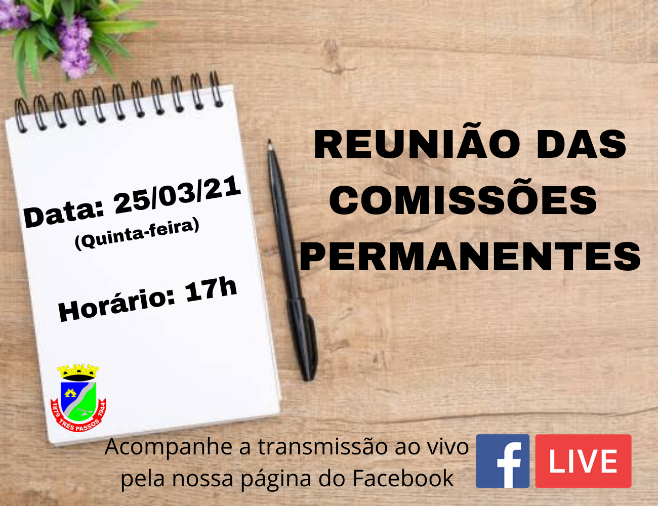 ACOMPANHE HOJE, 25 DE MARÇO, A REUNIÃO DAS COMISSÕES PERMANENTES ÀS 17H