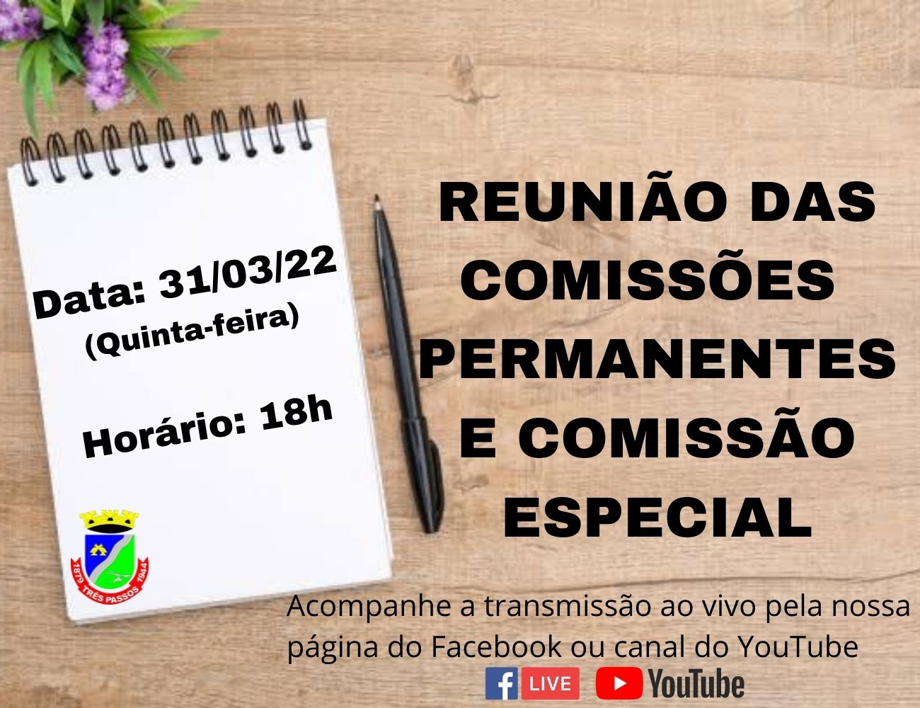 ACOMPANHE HOJE, 31 DE MARÇO, ÀS 18H, A REUNIÃO DAS COMISSÕES PERMANENTES E DA COMISSÃO ESPECIAL