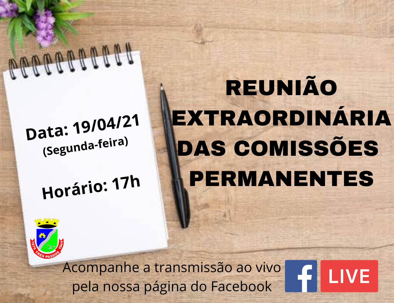 ACOMPANHE HOJE ÀS 17 HORAS A REUNIÃO EXTRAORDINÁRIA DAS COMISSÕES PERMANENTES