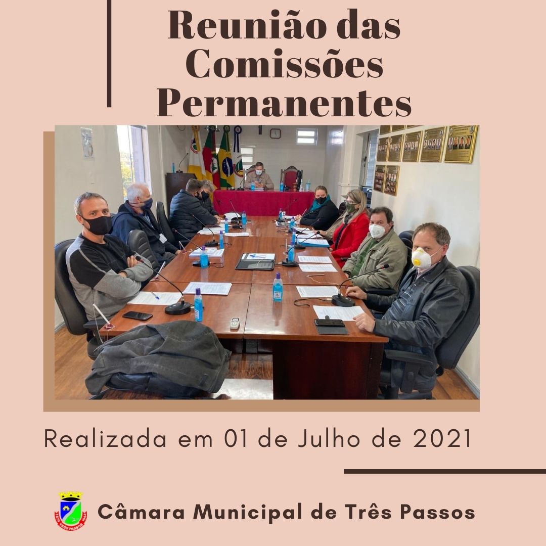 DIVERSAS PROPOSIÇÕES FORAM DISCUTIDAS DURANTE A REUNIÃO DAS COMISSÕES PERMANENTES (01 DE JULHO)