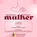 Procuradoria Especial da Mulher