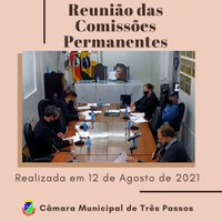 REALIZADA REUNIÃO DAS COMISSÕES PERMANENTES, 12 DE AGOSTO