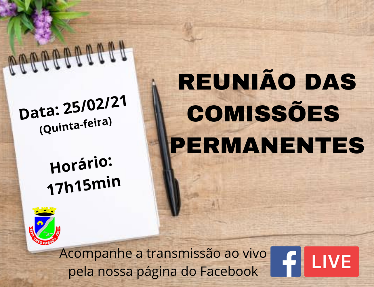 REUNIÃO DAS COMISSÕES PERMANENTES, ACONTECERÁ AMANHA DIA 25 DE FEVEREIRO ÀS 17H15MIN