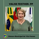 SUPLENTE DE VEREADORA, VALISE FEISTHER , ASSUME CADEIRA DO PP