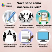 VOCÊ SABE COMO NASCEM AS LEIS?